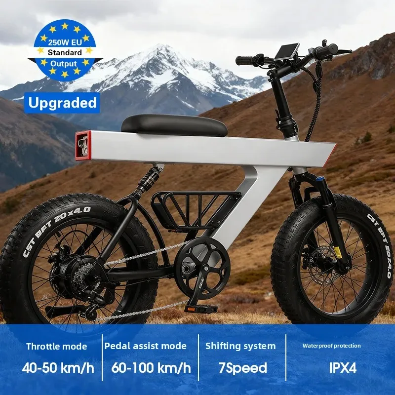 48V10.4AH Urban Lei…