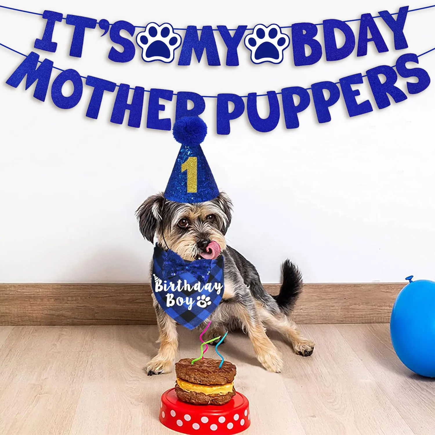 Dog Birthday Party Kit 5