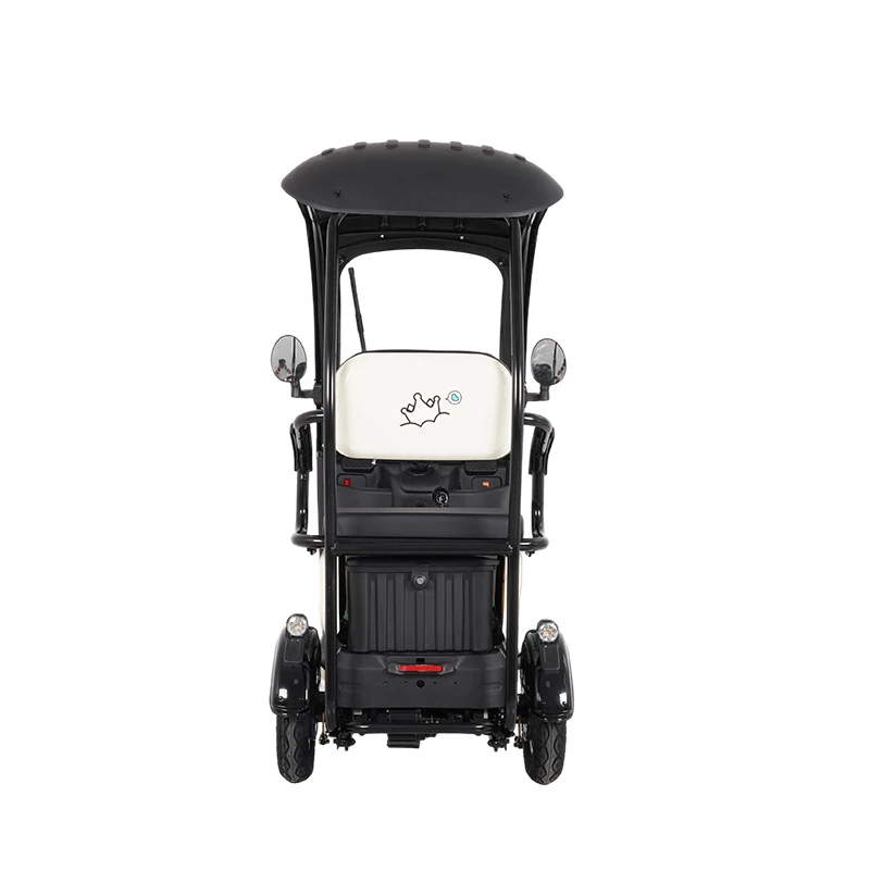 Semi-Enclosed Electric Tricycle with Roof, 1000W 48V/60V 3-Seat Trike