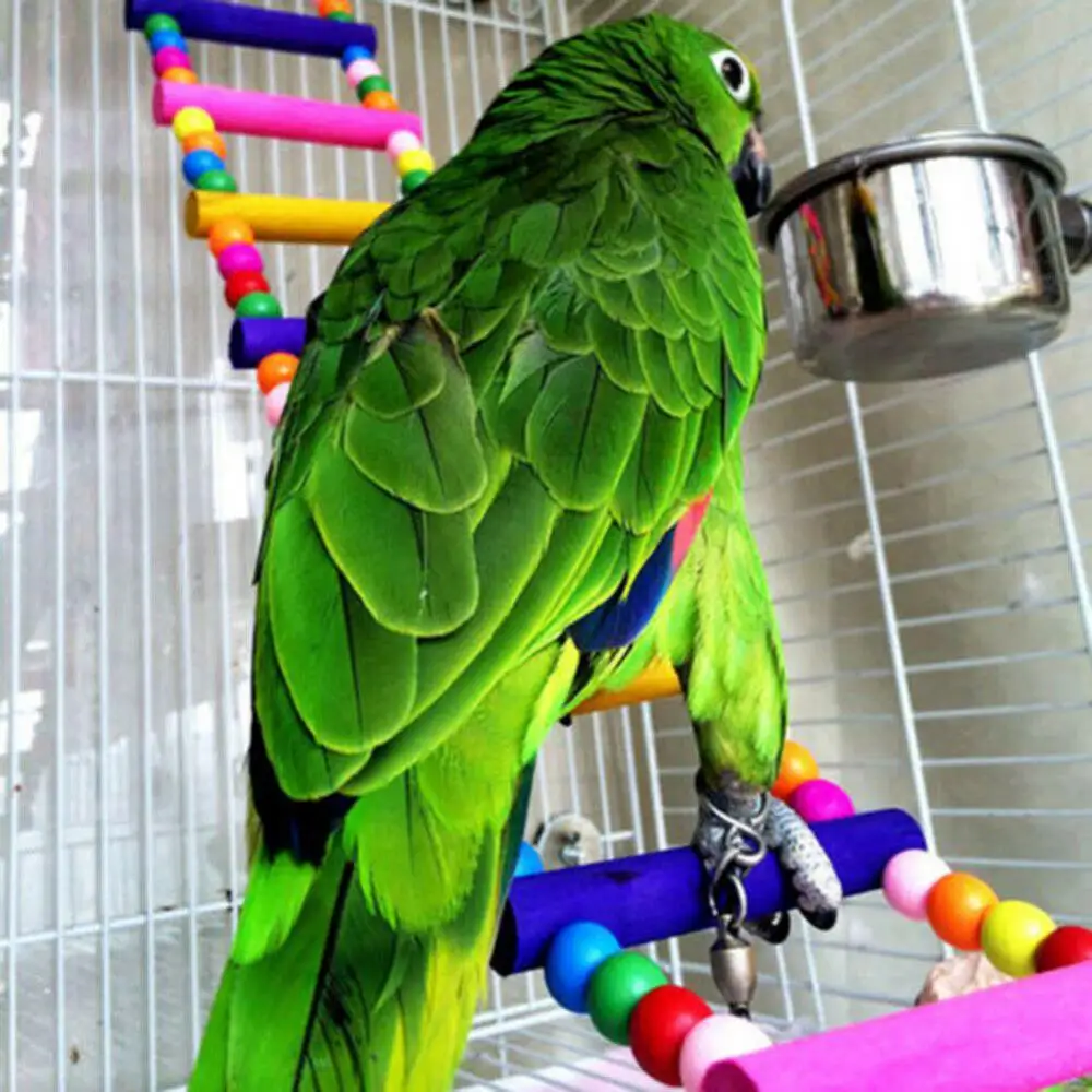 Beautiful Multi color Ladder Budgie Parrot Climbing Bite Wooden Braid Toy Parakeet Swing Bird Toy Bird Hanging Ladder