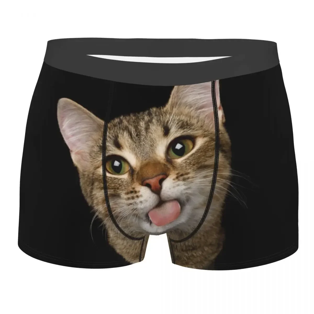 Men Portrait of Domestic Cat Underwear Cute Kittens Printed Boxer Briefs Shorts Panties Male Breathable Underpants Plus Size