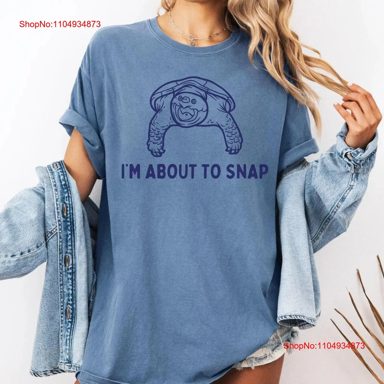 Funny Turtle T Shir…