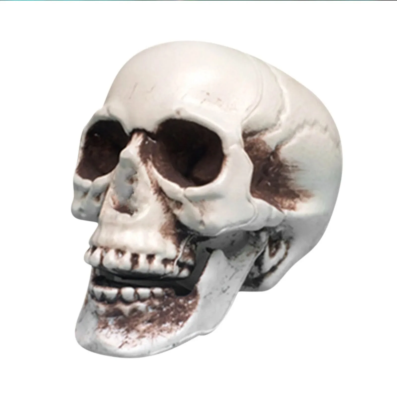 Halloween Skull Decoration Realistic Plastic Skull Head Skeleton Halloween Party Home Yard Decoration Haunted House Horror Props