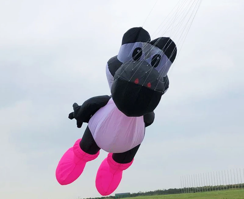 free shipping 3d inflatable kites pendant large kite windsocks soft kites flying adults kite pilot ikite professional kites koi