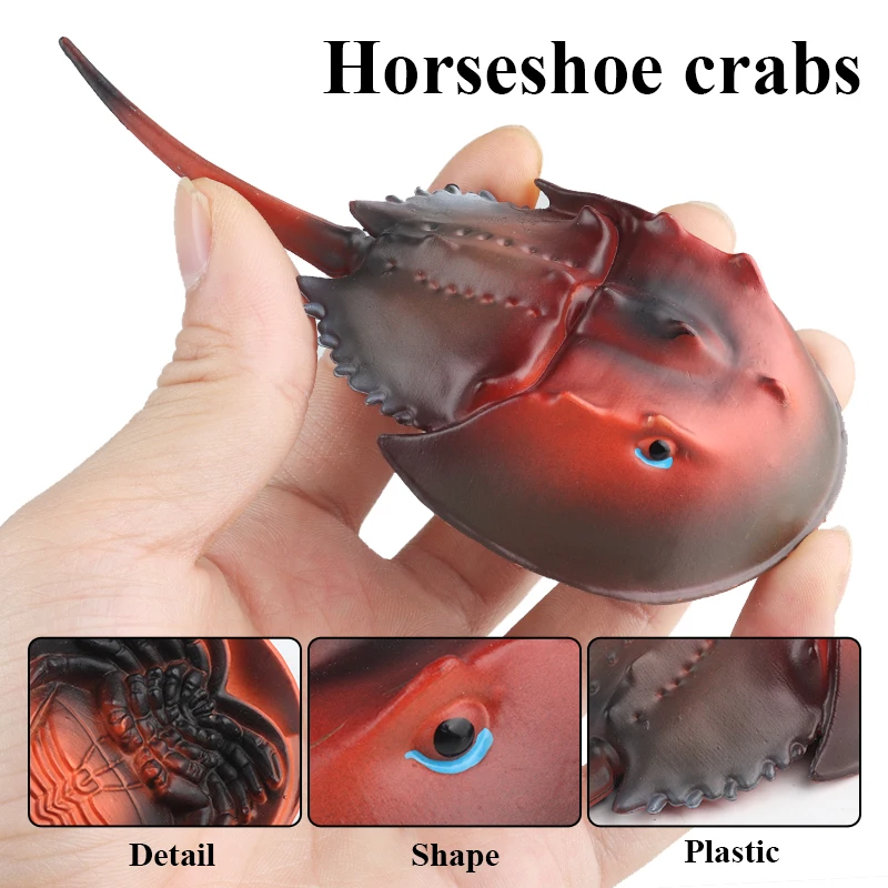 Oenux Sea Life Animals Octopus Whale Shark Turtle Manatee Dolphin Penguin Model Action Figures PVC Ocean Education Kid Toy Gift