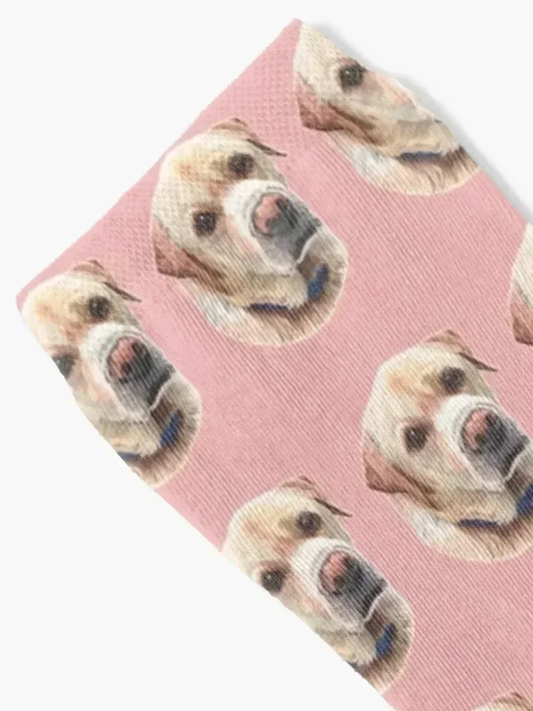 Yellow Labrador Socks loose short Thermal man winter Socks Women Men's