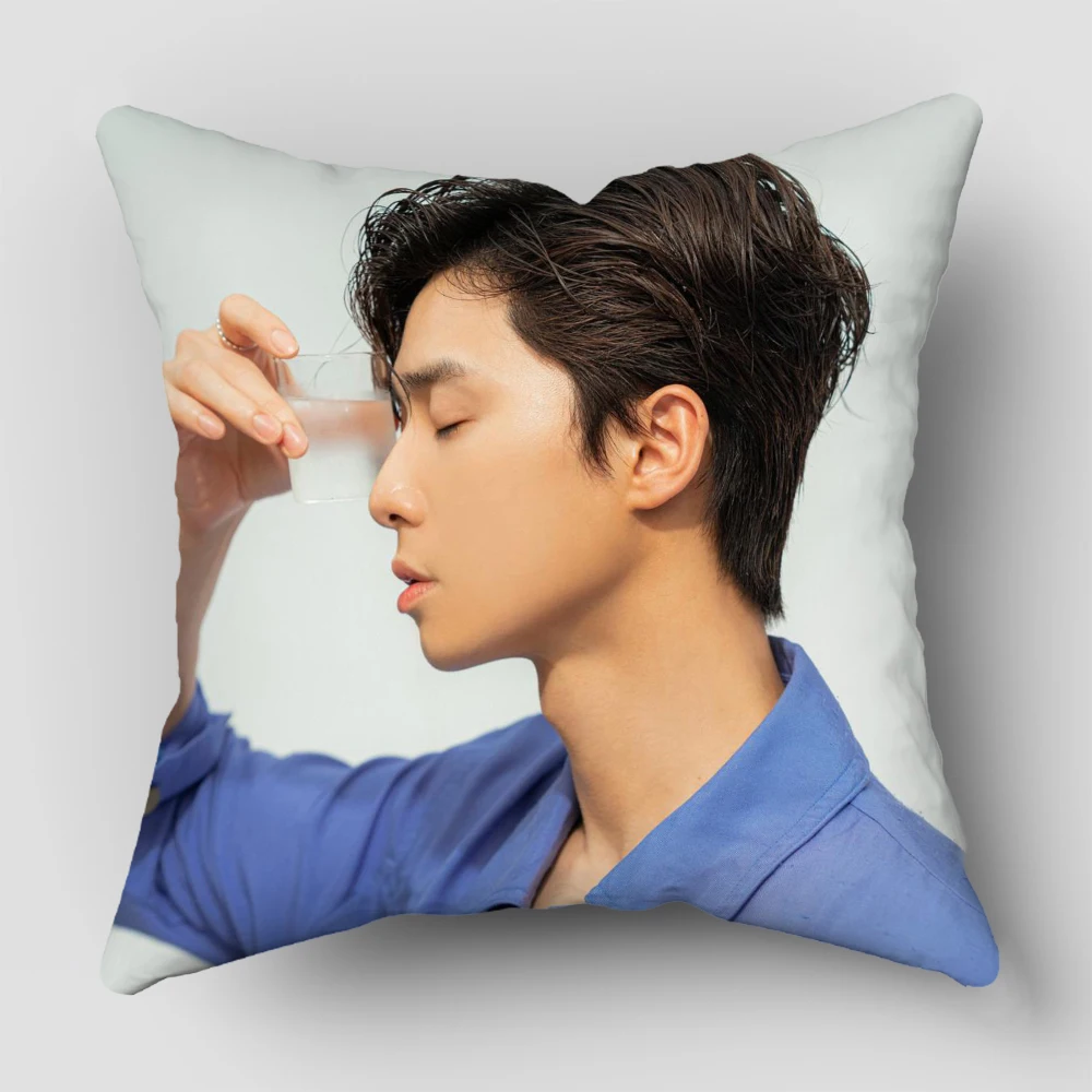 أغطية وسائد Park Seo Jun قابلة للغسل في الغسالة لديكور المنزل وعطاء الهدايا 3.3