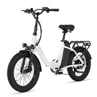 DYU C9 Adult Electric Bike 250W Motor Foldable Electric Bike 48V15.6AH Battery 20 Inch Tires City Commuter Electric Bike