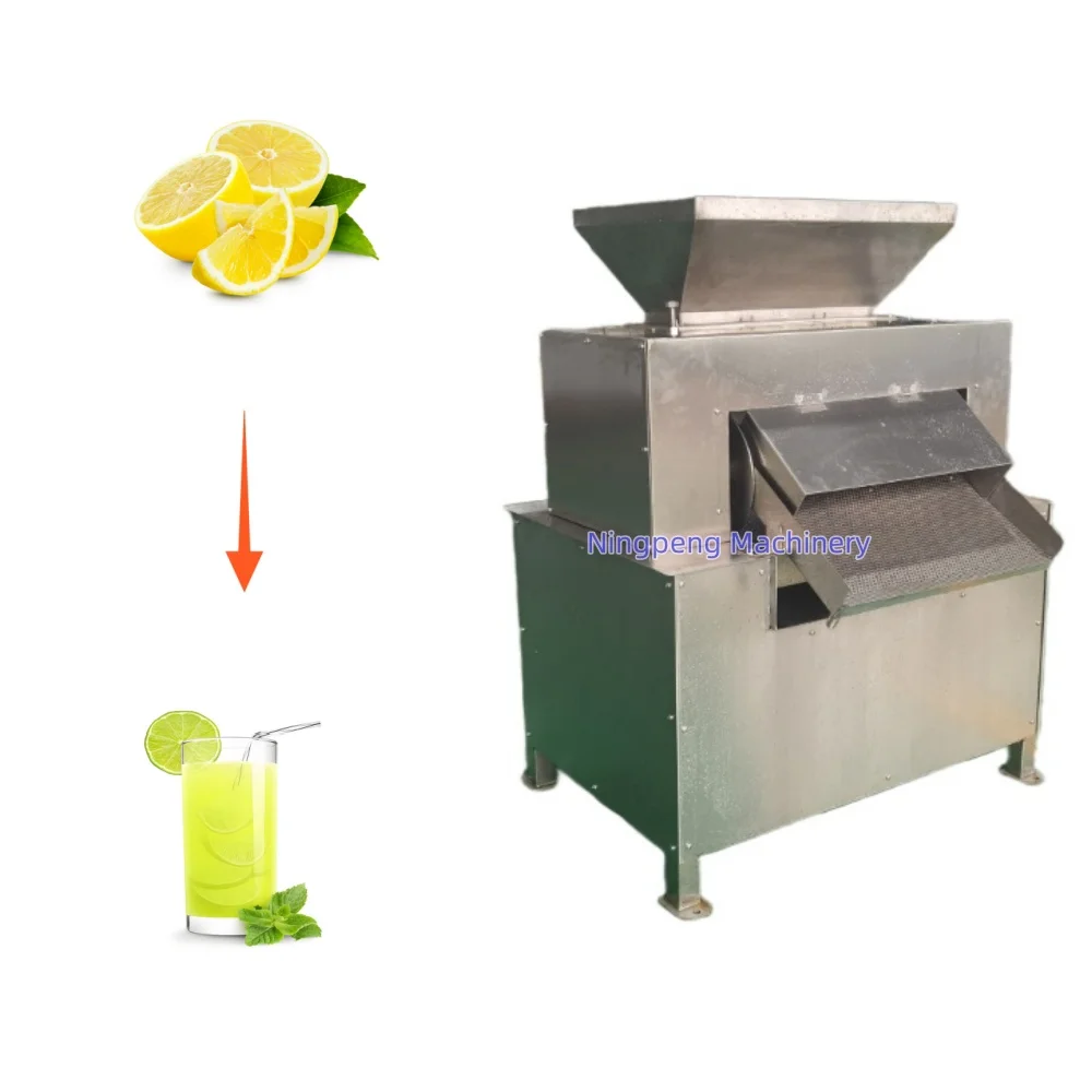 Banana Citrus Orange Lemon Fruit Juicer Machine Industrial Professional Electric Slow Juicer High Capacity