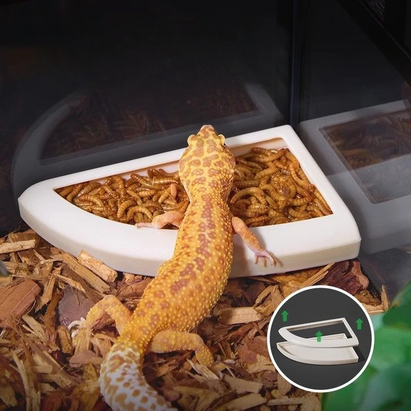 Thumbnail 4 - #26 Trending Reptile Water Bowls Right Now