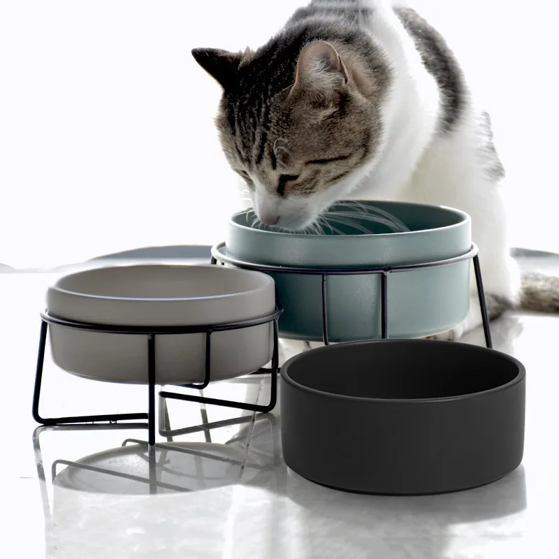 

Raised Cat Bowls Ceramic Double Cat Food and Water Bowl Set with Steel Stands for Cats Dogs Anti Vomiting Spine Protection