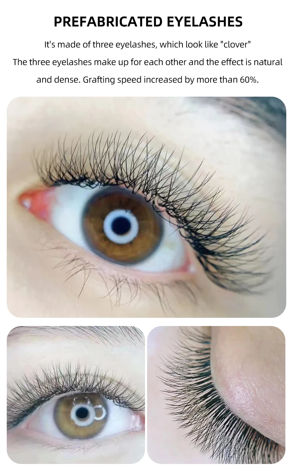 Yelix 3D W-Form Vorgefertigte Volumen-Wimpernverlängerungen im Clover-Stil, Natürliche Einzelwimpern-Trays mit Nicht-Auseinanderfallenden Wurzeln – Detail 3