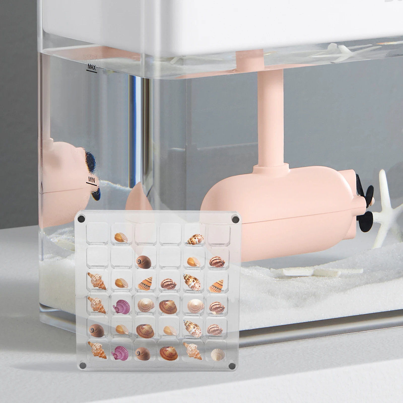 

Shell Storage Box Shells Display Case Seashell Stand Rack Acrylic Frame for Clear Seaside
