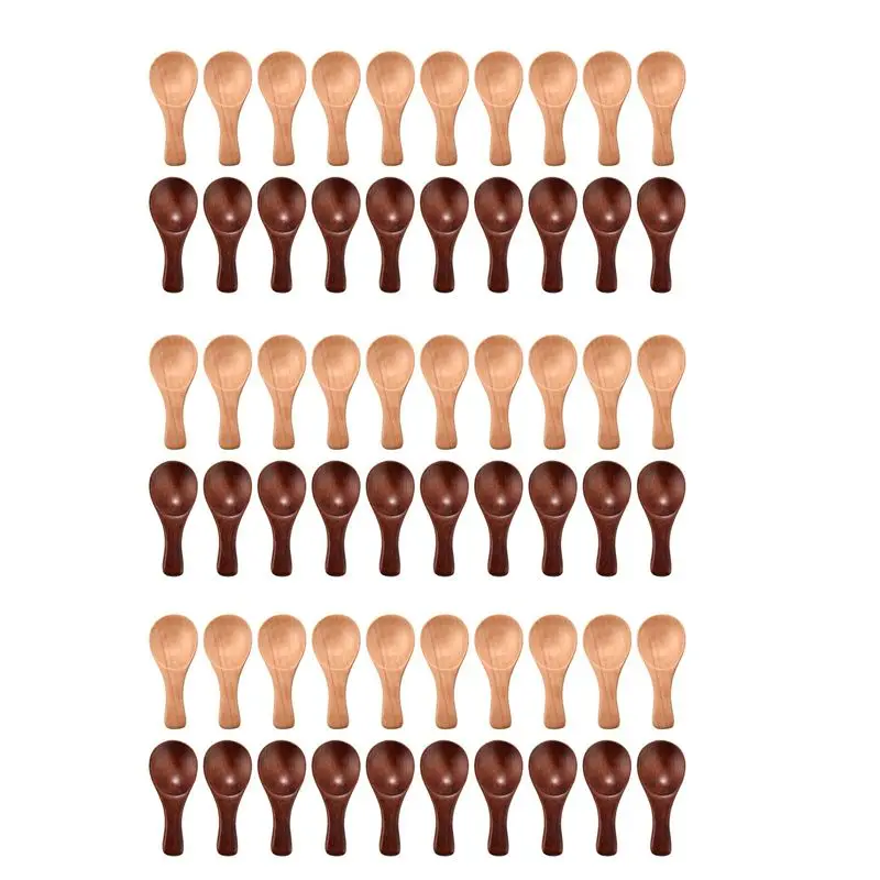 DT19-60 Pieces Small Wooden Spoons Mini Condiments Salt Honey Teaspoon Coffee Tea Jam Mustard Ice Cream Wood Spoons