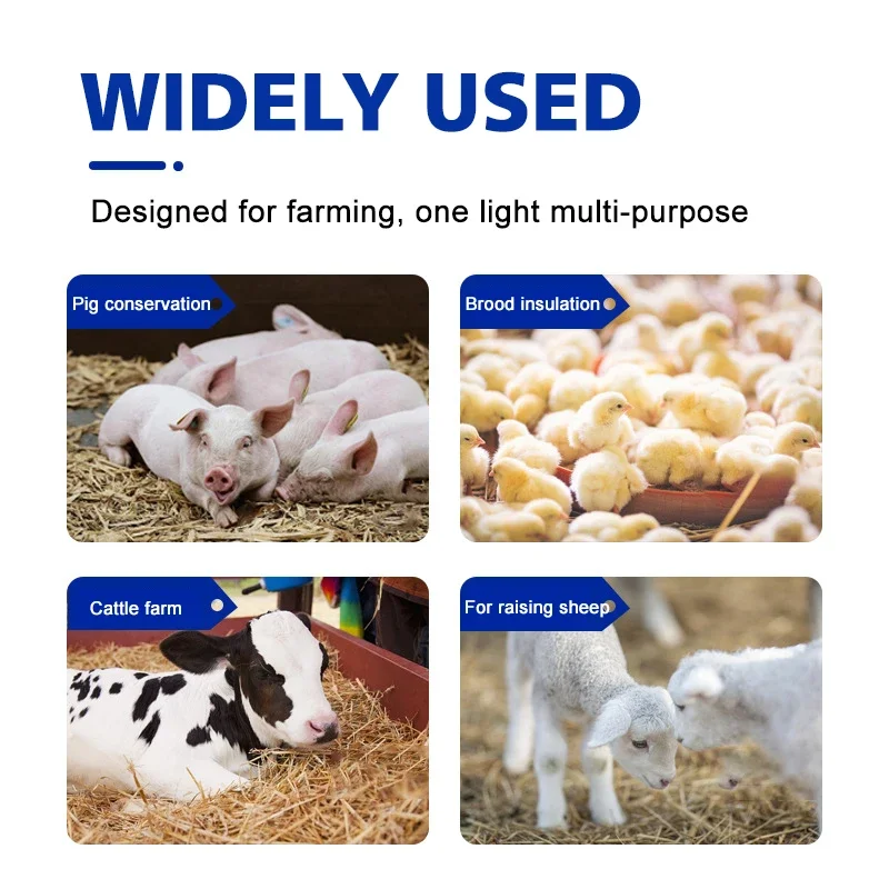 

No Stock Livestock Insulation Lamp Livestock Insulation Lamp