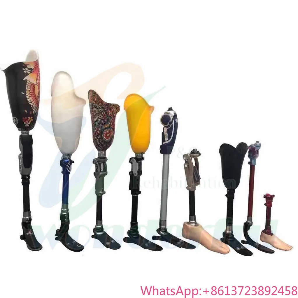 Customized Prosthet…