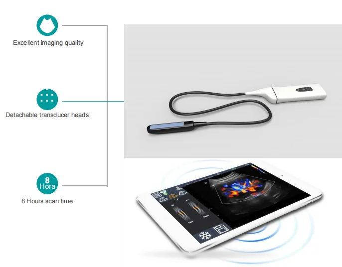 DMSU24 Veterinary Ultrasound Factory Price Brand New Handheld Wireless Probe Wi-Fi Connection Available Veterinary Ultrasound