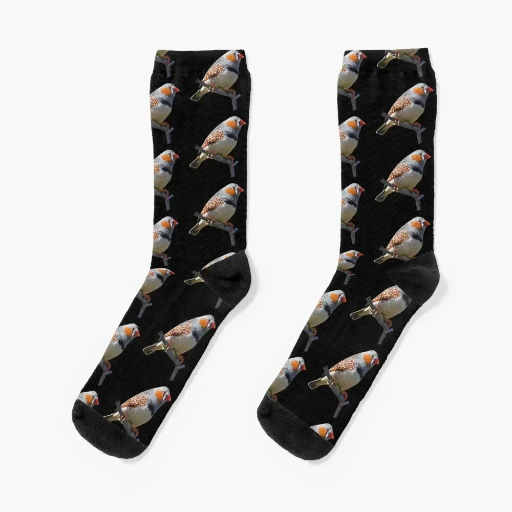 Zebra Finch 5 Socks men cotton high quality designer Women Socks Men's