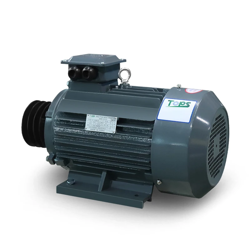 LANDTOP 50Hz High Efficiency Cast Iron Three Phase AC Motor With Pulley 415V Industrial Induction Asynchronous Electric Motor