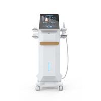 Professional Extracorporeal Shock Wave Physical Therapy Body Massage Equipment Shockwave For Pain Relief shockwaves Machine