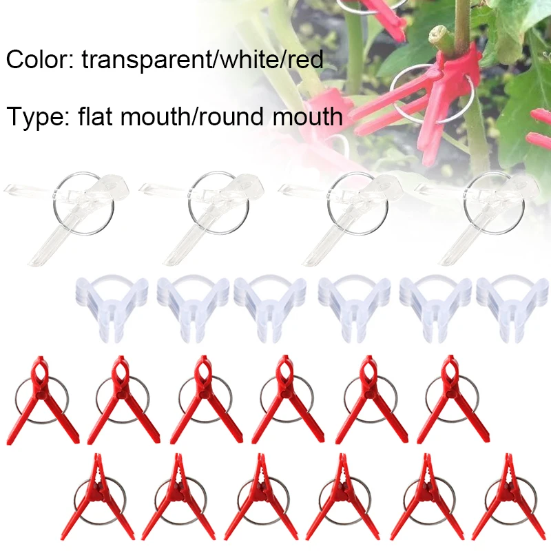 50pcs Quality Plants Graft Clips Plastic fixing fastening Fixture clamp Garden Tools for Cucumber Eggplant Watermelon