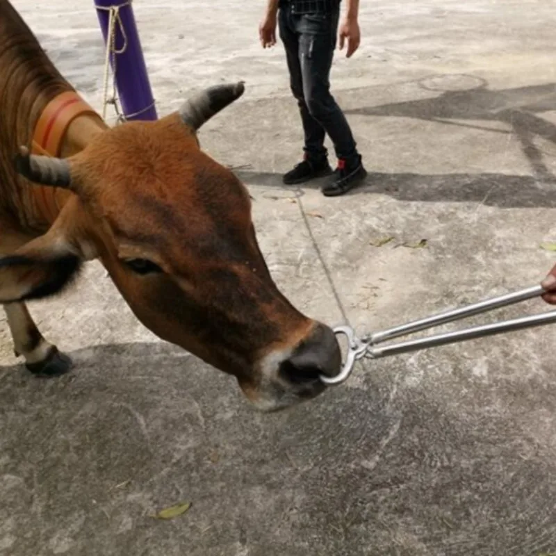 الكربون الصلب الثور كماشة بأنف ملزمة الجر أدوات طبيب بيطري المهنية المحمولة قابل للتعديل كماشة أدوات يدوية ذات مقبض طويل #2