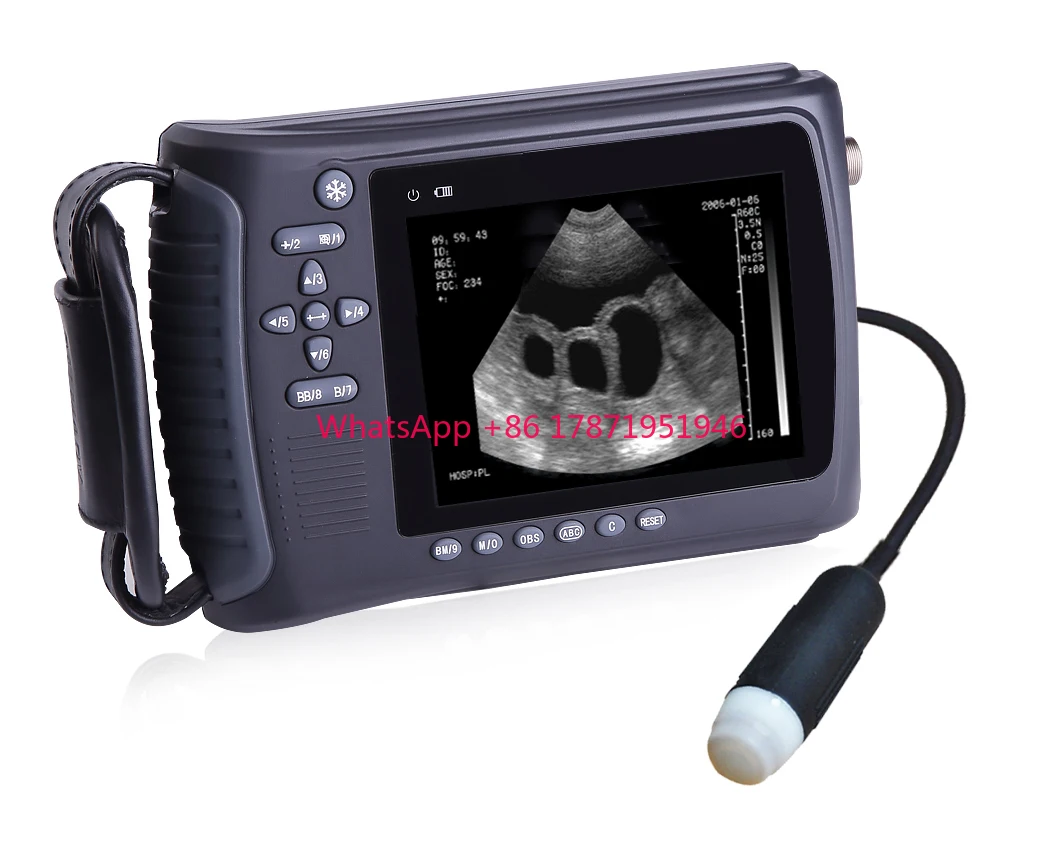 

Cheapest Portable Veterinary Handheld Ultrasound Scanner ultrasound Vet scanning diagnostic equipment PL-2018V