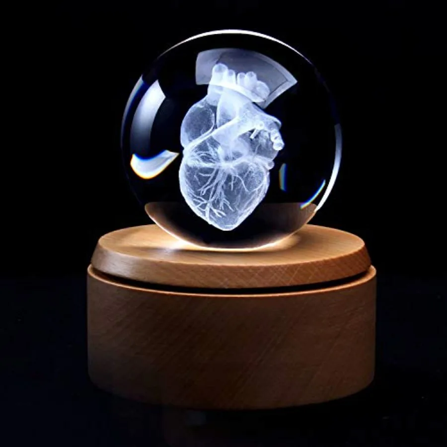 

XINDAM 3D Human Heart Anatomical Model Paperweight Laser Etched in Crystal Glass Ball Science Gift (Included LED Base)
