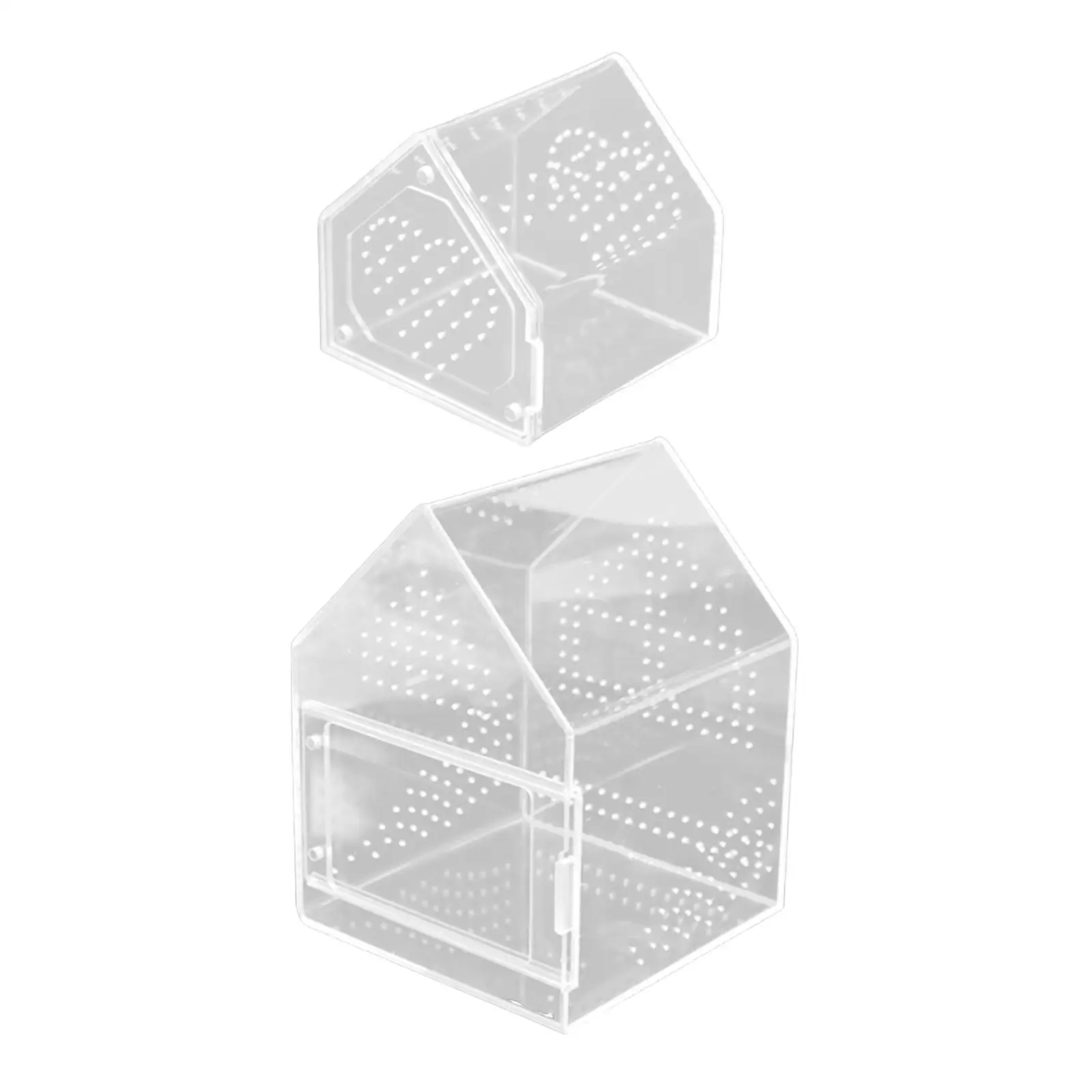 

Acrylic Jumping Spiders Enclosure with Ventilation Hole Tarantula Feeding Box for Gecko Snail Small Breeding Box