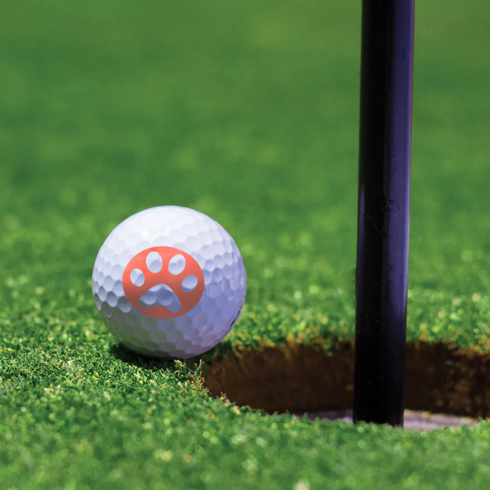 Golf Ball Stamper Plastic Long-Lasting Bright Multi-Functional Stamper Useful Golf Ball Stamp Tool Teaching Reward Seal
