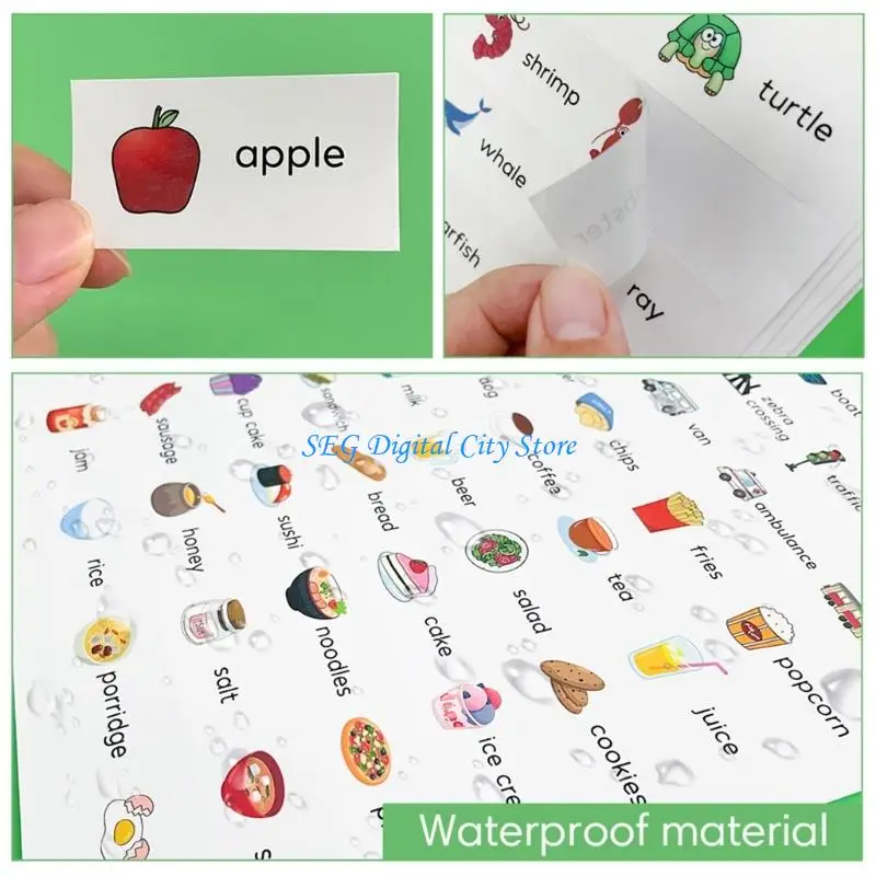 

U75B Adhesive English Word Sticker Education Vocabulary Sticker Language Teaching Aid