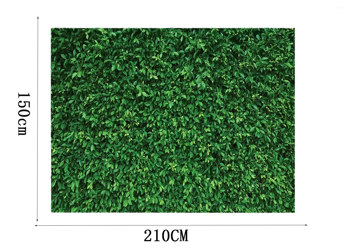 1.5 * 2.1M Green Leaf Theme Party Decoration Family  Photo Cloth Background Wall Large Thickened (Free Ribbon)