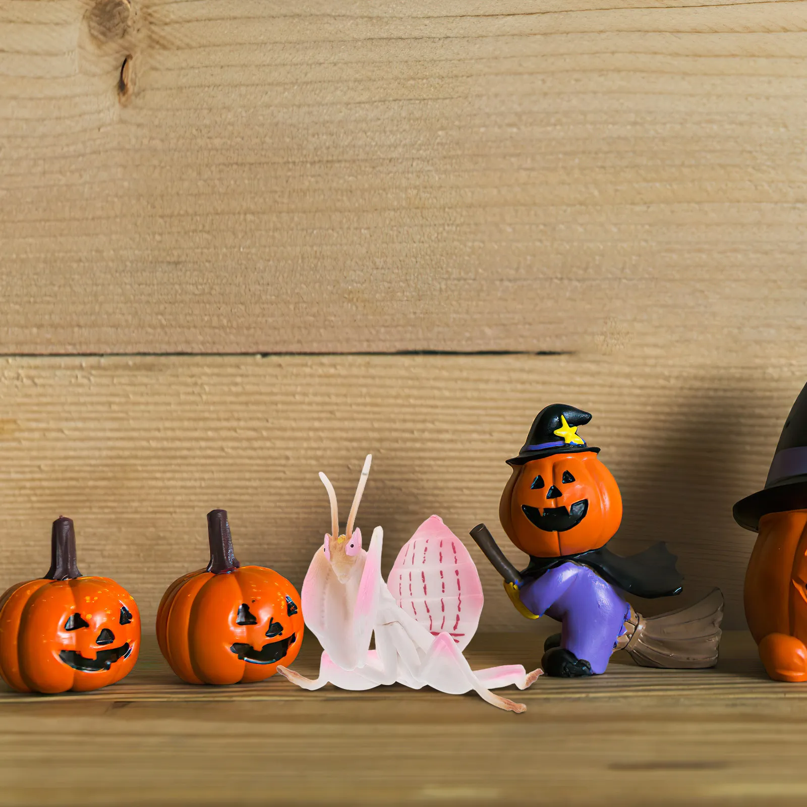 Realistic Mantis In…