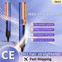 Professional 2 in 1 Hair Dryer and Negative Ion Hair Plate, Long-lasting Styling Tools, Wet and Dry Hair Dryer, Hair Care