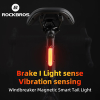 ROCKBROS Bicycle Tail Light IPX6 Waterproof Type-C Charging Smart Brake Sensing Magnetic Rear Light MTB Road Bike Cycling Access
