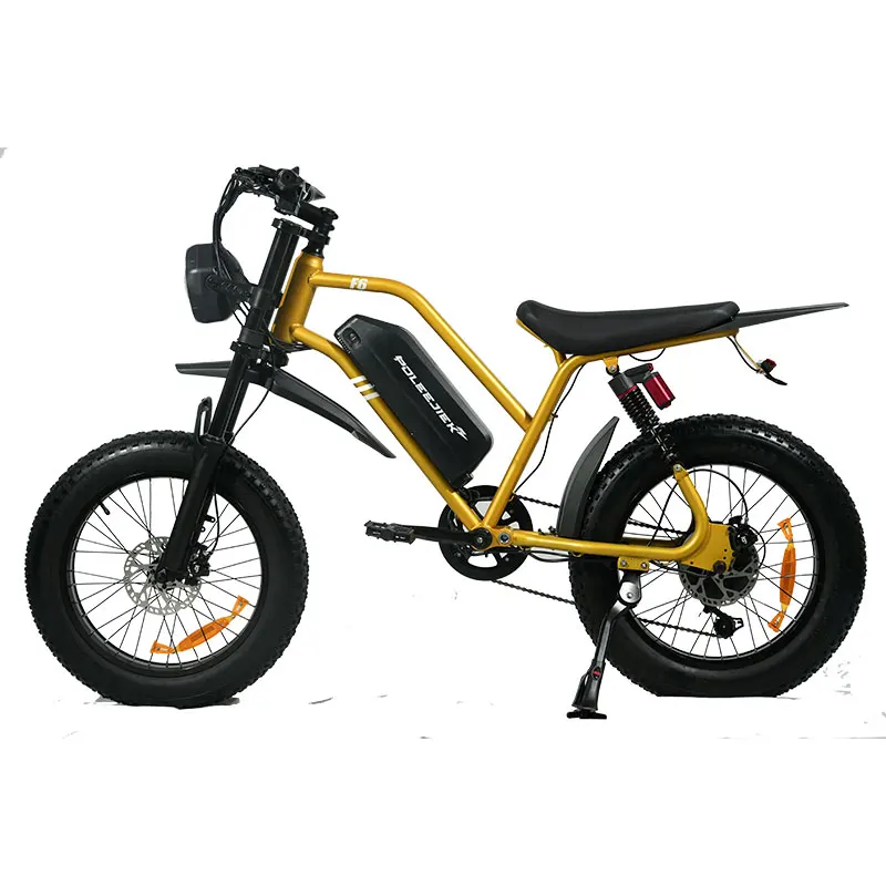 High Brushless Lithium Electric Bike For Adults Fat Tire Full Suspension Aluminum Alloy Frame Mountain Bicycle China