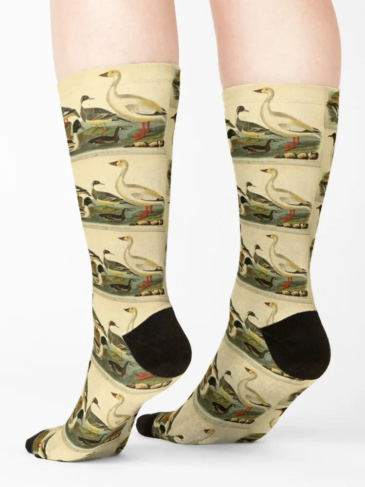 Naturalist Ducks Socks cute gifts Stockings compression anti slip football Socks Ladies Men's