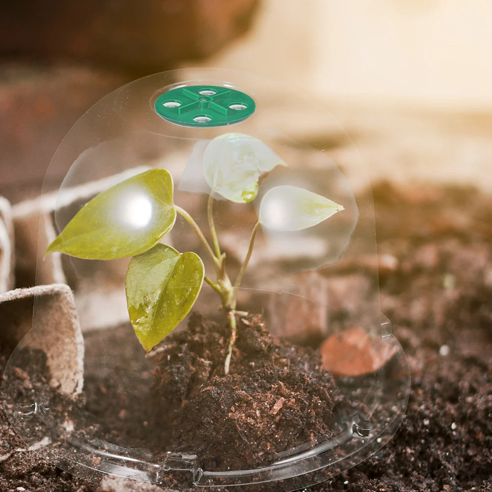 

3Pcs Garden Cloche Plant Dome Clear Mini Greenhouse Plant Cover Frost Protection Nursery Humidity Dome Outdoor
