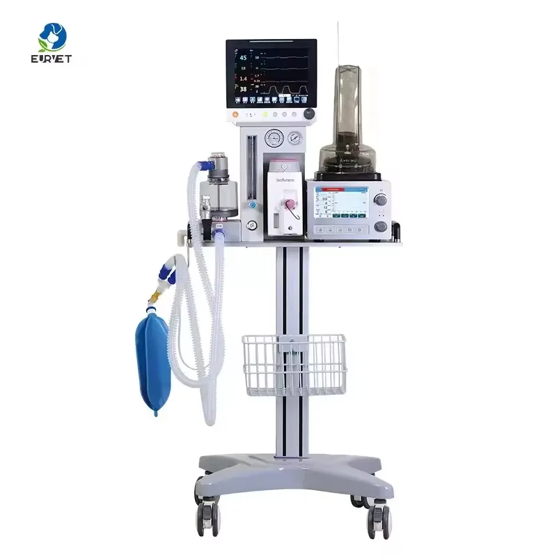 2026 Medical Apparatus Anaesthesia Instruments Anesthesia Machine for Animal Hospital Use Veterinary Equipment