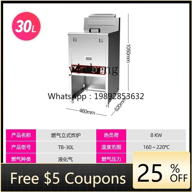 

B1 commercial vertical electric fryer double cylinder fryer large capacity fried chicken fritters stall equipment fried skewer