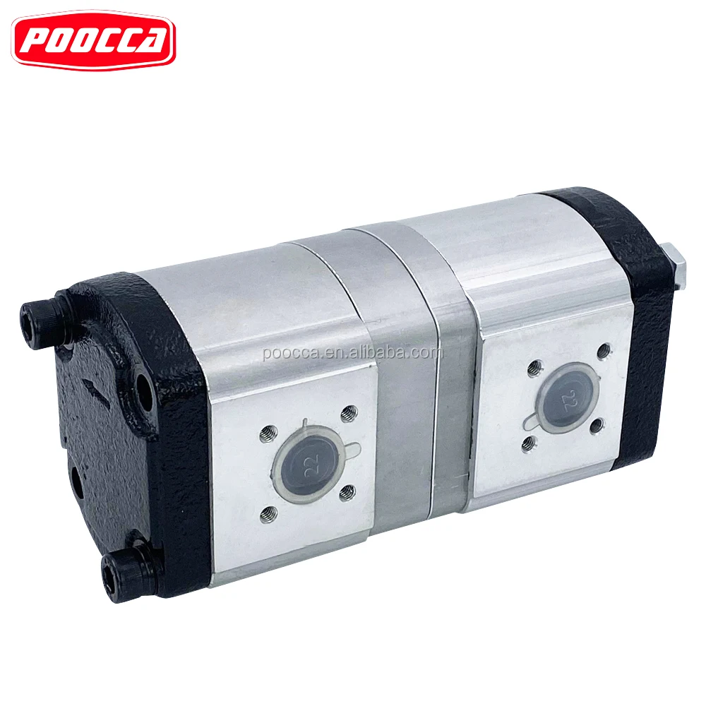Pump Factory Offers Hydraulic Double Gear Pump With Fast Delivery