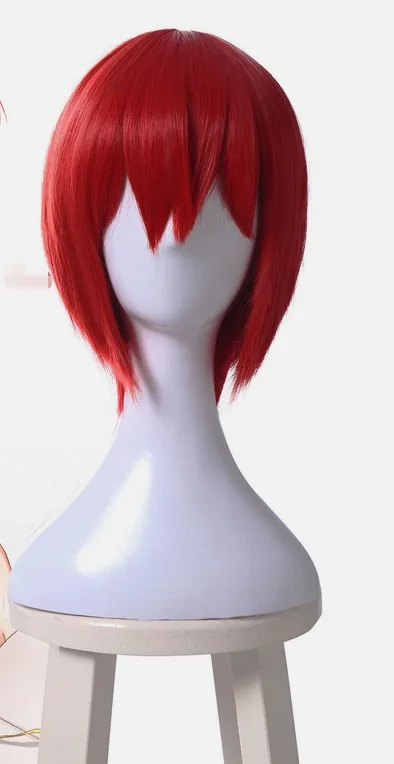 Ancient Magus' Bride Chise Hatori Cosplay Wig Red Short Hair Wigs