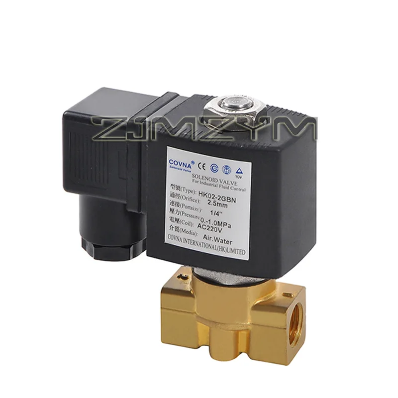 DN06 DN08 DN10 IP65 Waterproof Brass Solenoid Valve DC24V AC220V Normally Closed Valve