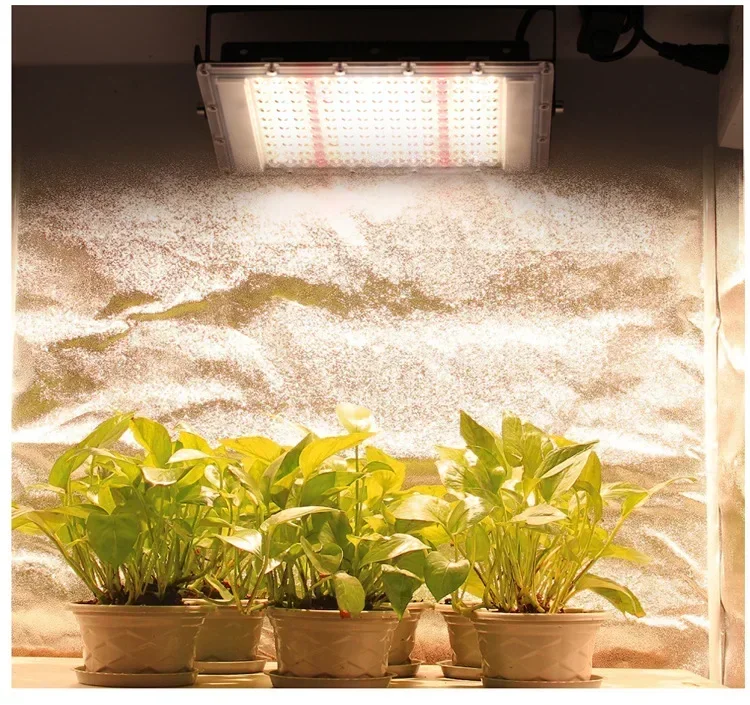 온실 꽃 성장 300W LED 성장 식물에 대 한 빛 Phytolamp 빛 AC165-265V 전체 스펙트럼 Phyto 램프 성장 시스템