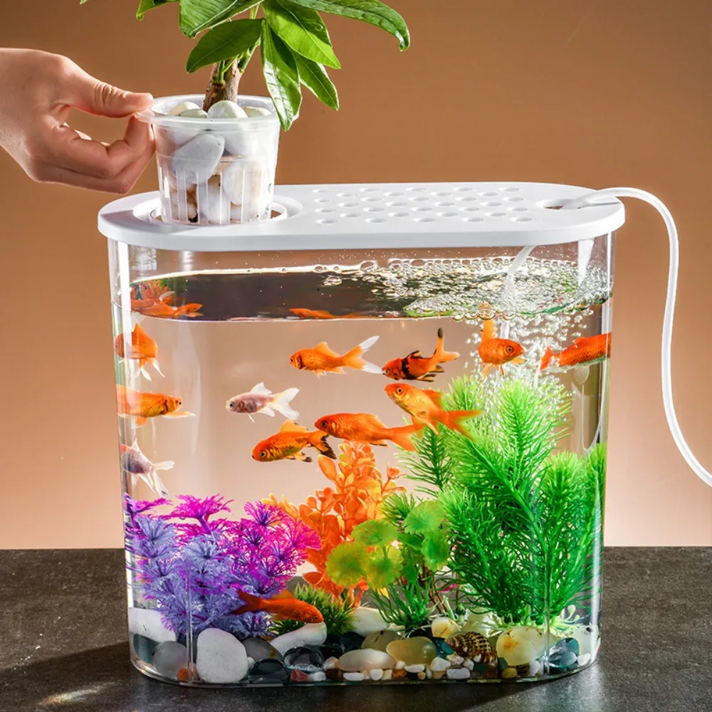 Plastic Transparent Belt Cover Oval Soil and Water Culture Fish Tank Living Room Office Desktop Small Decoration Goldfish Tank