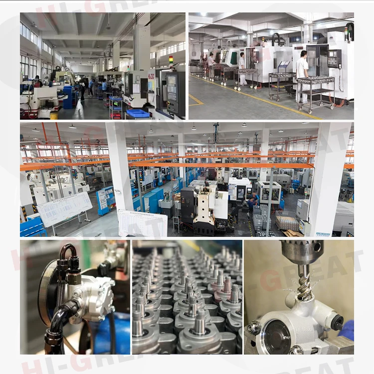 Pompe de direction assistée de voiture de haute qualité, fabricant chinois 40075E/4007.5E pour 206 hayon