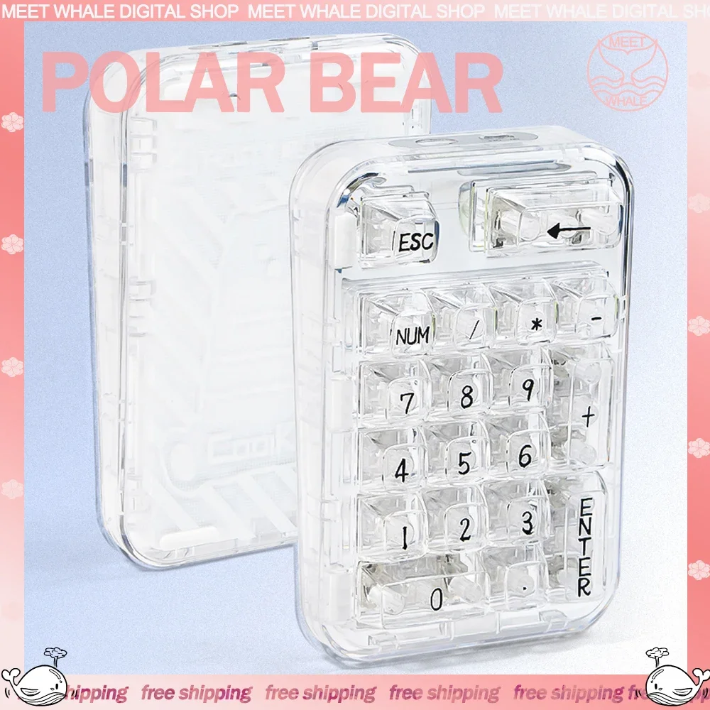 

Coolkiller Polar Bear Number Keypad Mini Portable Pad 3Mode 2.4G Wireless Bluetooth Keypad 19key Transparent Numeric Keypad Gift