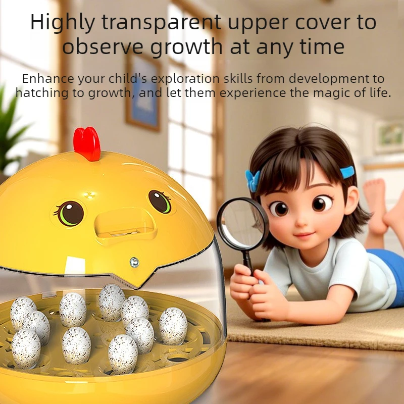 School Children's Chickens Eggs Hatcher Small Smart Constant Temperature Egg Incubator Chicken Observe Experiment Hatcher Breed