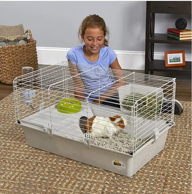 Pet Cage Includes All Accessories to Get You Started