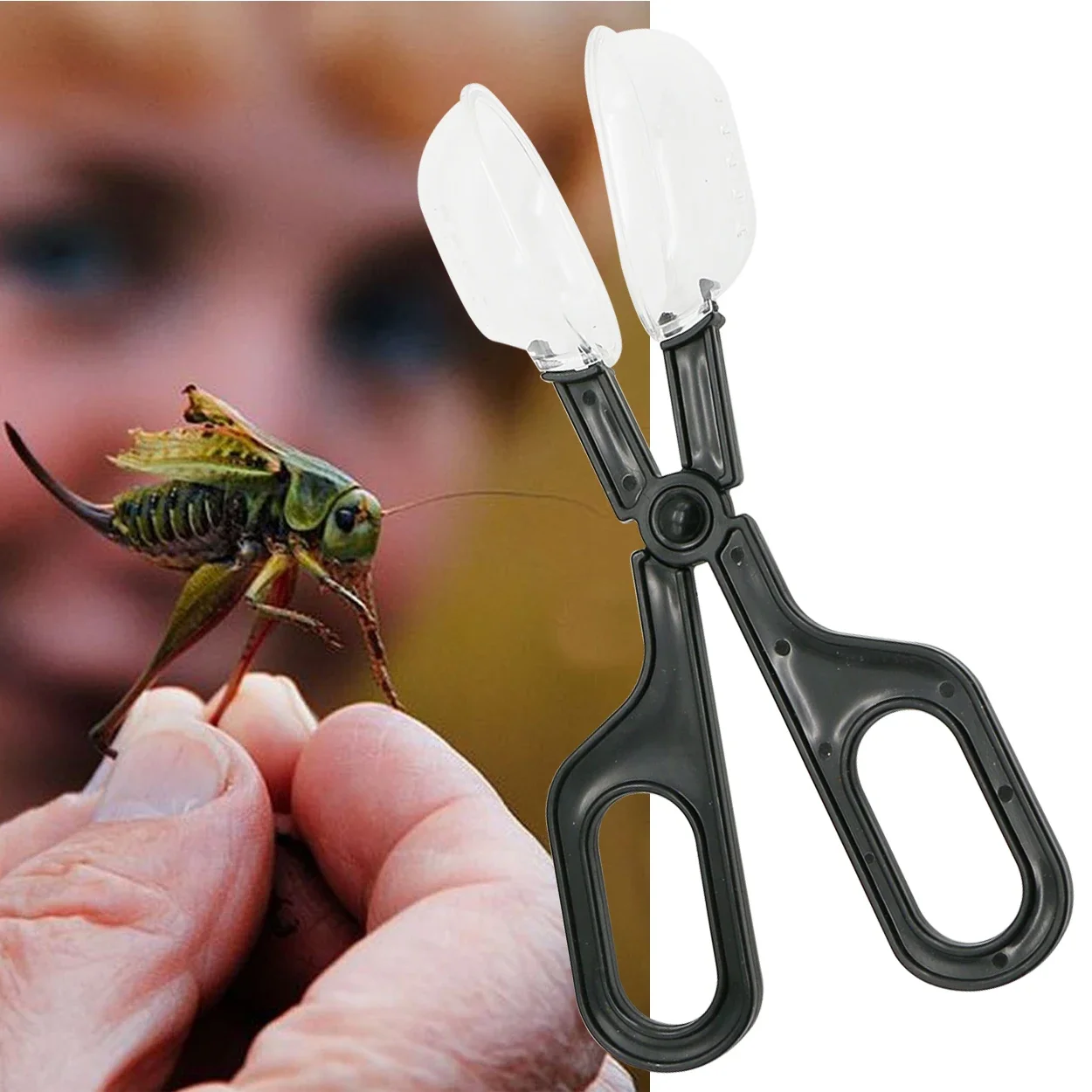 1Pc Apiculture Plastic Bee Queen Cage Clip Bee Catcher Insect Capture Beekeeping Isolation Room Beekeeping Tool Equipment